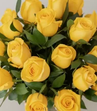 combo-amarillo-detalle
