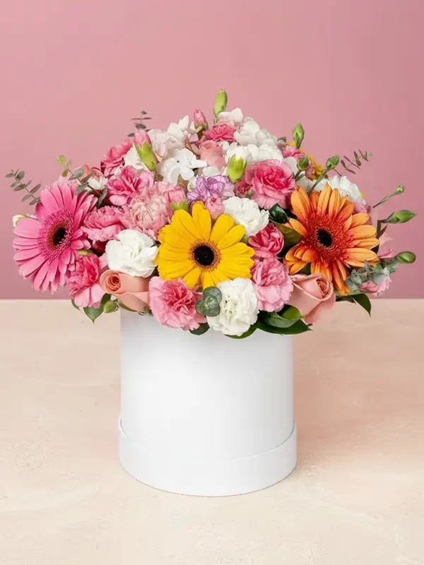 box-colores