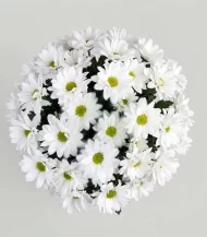 florero-de-condolencias-sencillodetalle